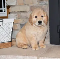 processed/c73ad6b1-48f9-4879-9287-61d6b5c207a5/listing/120cca76-678d-4065-8235-9a012c6ef937/674d21c4-45bf-4ddf-9327-be69d21918ce