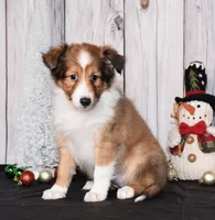 processed/c73ad6b1-48f9-4879-9287-61d6b5c207a5/listing/a8884c66-7b78-4576-a003-f12be4cd564e/3ed4b15c-8b4b-4674-8591-86d9ee1f50fc