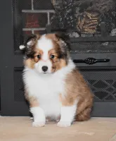 processed/c73ad6b1-48f9-4879-9287-61d6b5c207a5/listing/fedf81bd-12a5-4aea-be4e-7e7bdc3c35f6/9638f12c-ba18-42fe-9610-bf66d5409090