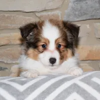 processed/c73ad6b1-48f9-4879-9287-61d6b5c207a5/listing/fedf81bd-12a5-4aea-be4e-7e7bdc3c35f6/cb240a4b-9a38-482c-8489-4f8ebba52673