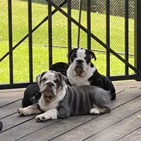 processed/c74264fc-c9f7-4364-91b8-973d83f860a7/facility/15393a97-a702-4445-9aca-49584f7ac522