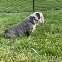 processed/c74264fc-c9f7-4364-91b8-973d83f860a7/facility/20b93c10-1826-44d1-ae09-71cc71f3069d