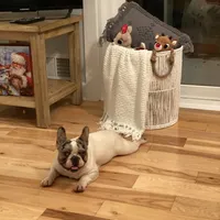 processed/c74264fc-c9f7-4364-91b8-973d83f860a7/facility/8746cafc-457f-4ff2-9919-302d902a736d