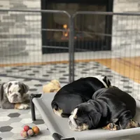 processed/c74264fc-c9f7-4364-91b8-973d83f860a7/facility/bf2e0813-3f54-4c8f-9032-a50f55108f11