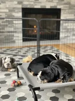 processed/c74264fc-c9f7-4364-91b8-973d83f860a7/facility/bf2e0813-3f54-4c8f-9032-a50f55108f11