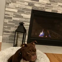 processed/c74264fc-c9f7-4364-91b8-973d83f860a7/facility/ca45ccf3-ace2-45e9-a0a5-08403ea15d25