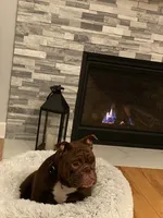 processed/c74264fc-c9f7-4364-91b8-973d83f860a7/facility/ca45ccf3-ace2-45e9-a0a5-08403ea15d25