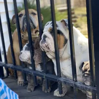 processed/c74264fc-c9f7-4364-91b8-973d83f860a7/facility/d16a536b-6c8a-43c0-8759-48fca0190795