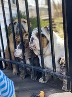 processed/c74264fc-c9f7-4364-91b8-973d83f860a7/facility/d16a536b-6c8a-43c0-8759-48fca0190795