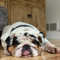 processed/c74264fc-c9f7-4364-91b8-973d83f860a7/facility/ef2c19a1-66f7-4a73-b425-a78ed745107f