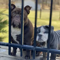 processed/c74264fc-c9f7-4364-91b8-973d83f860a7/facility/f0793e1b-6fc7-47d4-8858-af27195e5d0d