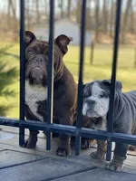 processed/c74264fc-c9f7-4364-91b8-973d83f860a7/facility/f0793e1b-6fc7-47d4-8858-af27195e5d0d