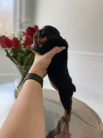 processed/c74264fc-c9f7-4364-91b8-973d83f860a7/listing/1bea4d3d-b991-435f-ae9f-5847c86f955d/5219f7d4-5a7e-4724-ac40-19ed71be122e