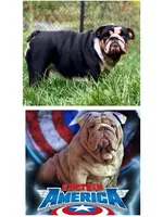 processed/c74264fc-c9f7-4364-91b8-973d83f860a7/listing/1bea4d3d-b991-435f-ae9f-5847c86f955d/7532f758-3923-4cb3-8ffa-fc9d63f814af