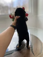 processed/c74264fc-c9f7-4364-91b8-973d83f860a7/listing/1bea4d3d-b991-435f-ae9f-5847c86f955d/ef73eef3-c768-450d-9edc-8731a17a6aff