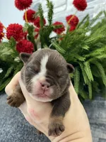 processed/c74264fc-c9f7-4364-91b8-973d83f860a7/listing/1fbcf5e8-c25c-4e28-8b41-ddd5567cd100/0d817a2a-008f-4a09-b6b4-027df6ac7026