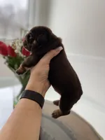 processed/c74264fc-c9f7-4364-91b8-973d83f860a7/listing/1fbcf5e8-c25c-4e28-8b41-ddd5567cd100/256c4094-5b75-4641-97b0-d0cec99b5dd7