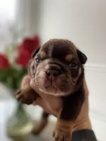 processed/c74264fc-c9f7-4364-91b8-973d83f860a7/listing/1fbcf5e8-c25c-4e28-8b41-ddd5567cd100/43b899c9-ccc9-426b-a95b-eb014b01cacf