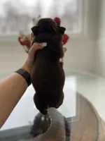 processed/c74264fc-c9f7-4364-91b8-973d83f860a7/listing/1fbcf5e8-c25c-4e28-8b41-ddd5567cd100/c52b7534-2873-4c9a-b935-f89f8f31906a