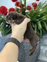 processed/c74264fc-c9f7-4364-91b8-973d83f860a7/listing/1fbcf5e8-c25c-4e28-8b41-ddd5567cd100/c7e3b0aa-c929-4c89-b48f-8dcb39364586