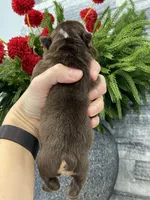 processed/c74264fc-c9f7-4364-91b8-973d83f860a7/listing/1fbcf5e8-c25c-4e28-8b41-ddd5567cd100/d73b03a7-4d0e-4cef-b01c-f56ab606ed89