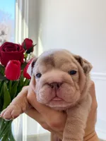 processed/c74264fc-c9f7-4364-91b8-973d83f860a7/listing/2f8732ee-2c37-4cef-bb20-2c3654828c39/563d8faf-5155-4a31-909c-0af5ca6d203f