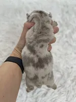 processed/c74264fc-c9f7-4364-91b8-973d83f860a7/listing/2f8732ee-2c37-4cef-bb20-2c3654828c39/6aafc539-c446-4dca-95fb-26928922c0ce