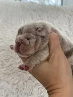 processed/c74264fc-c9f7-4364-91b8-973d83f860a7/listing/2f8732ee-2c37-4cef-bb20-2c3654828c39/cfdb76a3-21f6-41c9-9965-57bc528dad69