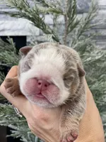 processed/c74264fc-c9f7-4364-91b8-973d83f860a7/listing/32ac403c-68ea-4f48-8d6b-f865f70d0ce2/10ed5b37-a074-4ab4-9fb6-4034bf662fa7