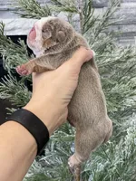 processed/c74264fc-c9f7-4364-91b8-973d83f860a7/listing/32ac403c-68ea-4f48-8d6b-f865f70d0ce2/cd8a0952-e1ab-4bc1-8421-a396c4d6f06f