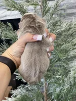 processed/c74264fc-c9f7-4364-91b8-973d83f860a7/listing/32ac403c-68ea-4f48-8d6b-f865f70d0ce2/f412b5b4-ff6f-42b2-8efc-10878562b538