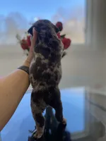 processed/c74264fc-c9f7-4364-91b8-973d83f860a7/listing/40c510ac-9564-42c1-a9bc-d1620a90160e/0100a34a-6de0-4cdc-8203-9c707757e87a