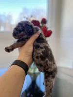 processed/c74264fc-c9f7-4364-91b8-973d83f860a7/listing/40c510ac-9564-42c1-a9bc-d1620a90160e/4e3b94f0-f0c4-4852-ad85-cef429f707c4