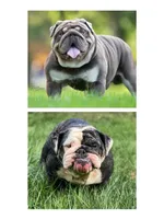 processed/c74264fc-c9f7-4364-91b8-973d83f860a7/listing/40c510ac-9564-42c1-a9bc-d1620a90160e/635d76a8-f137-4fe6-8c03-2db9d3633a84