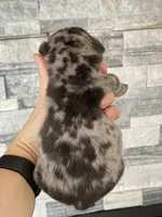 processed/c74264fc-c9f7-4364-91b8-973d83f860a7/listing/40c510ac-9564-42c1-a9bc-d1620a90160e/858a74d6-d8e5-48c5-9761-afb049c23d9d