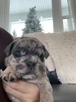 processed/c74264fc-c9f7-4364-91b8-973d83f860a7/listing/40c510ac-9564-42c1-a9bc-d1620a90160e/af328a8e-1eb8-427f-9990-a270b4e1dbee