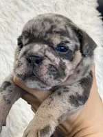 processed/c74264fc-c9f7-4364-91b8-973d83f860a7/listing/40c510ac-9564-42c1-a9bc-d1620a90160e/d435e04f-faac-454c-8bdc-2b0fe9ce465a