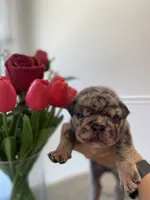 processed/c74264fc-c9f7-4364-91b8-973d83f860a7/listing/40c510ac-9564-42c1-a9bc-d1620a90160e/ef42849f-a162-4e58-9192-c9391a45e4bc