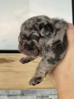 processed/c74264fc-c9f7-4364-91b8-973d83f860a7/listing/40c510ac-9564-42c1-a9bc-d1620a90160e/f86a4ba5-dfb2-4565-80e4-8bd4ba9a91a8