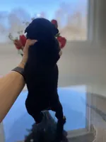 processed/c74264fc-c9f7-4364-91b8-973d83f860a7/listing/7f044e9b-aff1-4712-9209-d970f2784504/40c94e03-1e85-4867-914e-8b37bce2c629