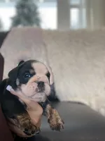 processed/c74264fc-c9f7-4364-91b8-973d83f860a7/listing/7f044e9b-aff1-4712-9209-d970f2784504/45b783ce-87f5-4511-9e84-05a7fcbd12f0