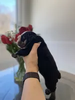 processed/c74264fc-c9f7-4364-91b8-973d83f860a7/listing/7f044e9b-aff1-4712-9209-d970f2784504/86912b63-b9c0-4276-89c7-dd25e9dec39d