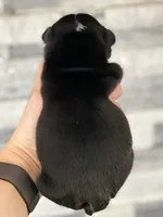 processed/c74264fc-c9f7-4364-91b8-973d83f860a7/listing/7f044e9b-aff1-4712-9209-d970f2784504/c3c13238-9e35-4571-aaad-421fe64c6384