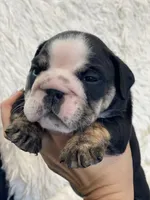 processed/c74264fc-c9f7-4364-91b8-973d83f860a7/listing/7f044e9b-aff1-4712-9209-d970f2784504/efede471-04c4-4c67-a283-5cb48f057a46