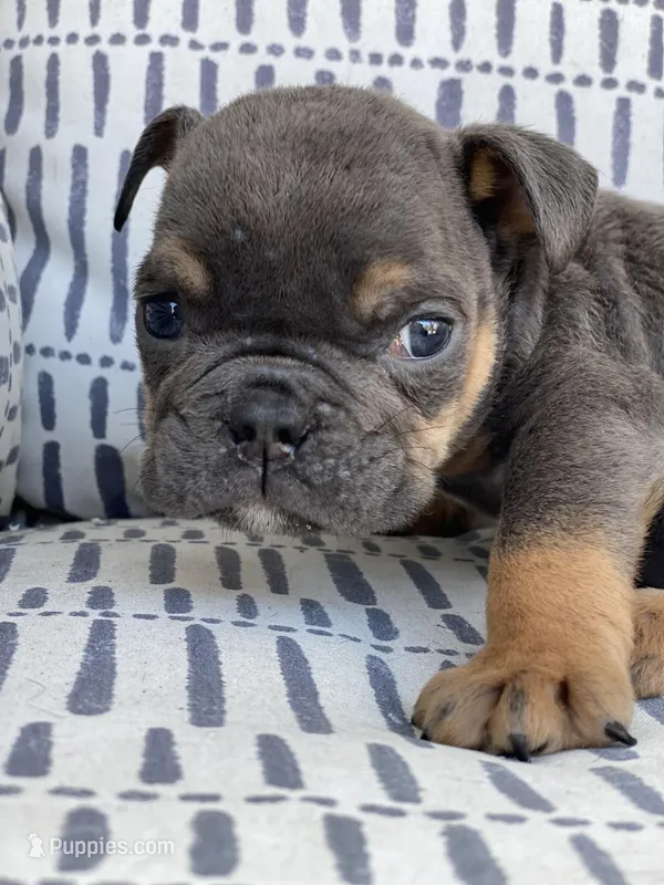 Kisses - Special Needs