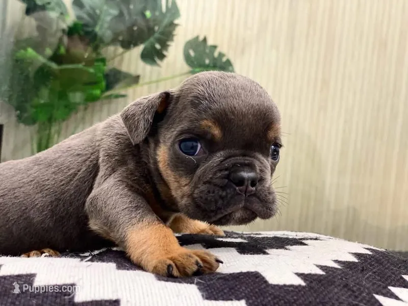 Kisses - Special Needs