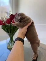 processed/c74264fc-c9f7-4364-91b8-973d83f860a7/listing/9e01ada8-d8f0-4329-bb9e-f6783fb311e3/3ae1ee97-468f-4dc0-8dd1-0865a349234b