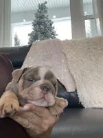 processed/c74264fc-c9f7-4364-91b8-973d83f860a7/listing/9e01ada8-d8f0-4329-bb9e-f6783fb311e3/510e5c8b-ed83-4a3b-85cf-391bfd439171