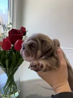 processed/c74264fc-c9f7-4364-91b8-973d83f860a7/listing/9e01ada8-d8f0-4329-bb9e-f6783fb311e3/a72d6805-4f77-4ebd-b6a0-1c36d2bf32a5