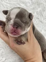 processed/c74264fc-c9f7-4364-91b8-973d83f860a7/listing/9e01ada8-d8f0-4329-bb9e-f6783fb311e3/d97906bf-222e-4e8f-a0fb-60cd48a5810e